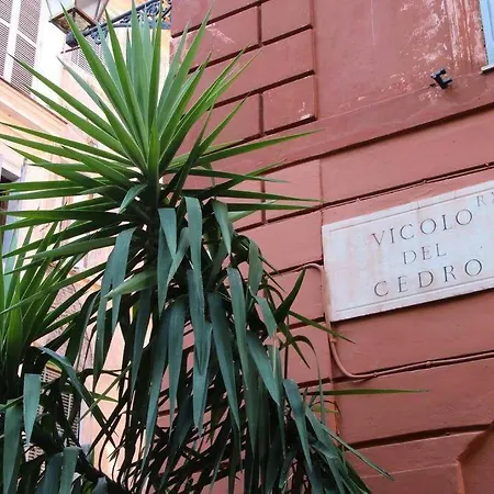 Apartman Cedro Róma